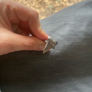 Sterling Silver Shark Tooth Statement Ring - Women Jewelry